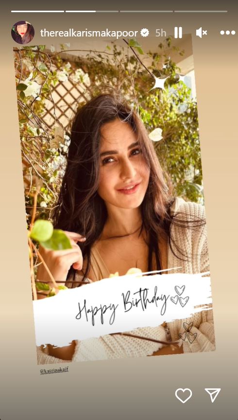 Vicky Kaushal Shares Pics From Katrina Kaif's Birthday: 'In Awe Of Your Magic...