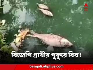 Panchayat Election : বিজেপি প্রার্থীর পুকুরে বিষ ঢেলে মেরে ফেলা হল কয়েক কুইন্টাল মাছ ! চাঞ্চল্য সাগরে