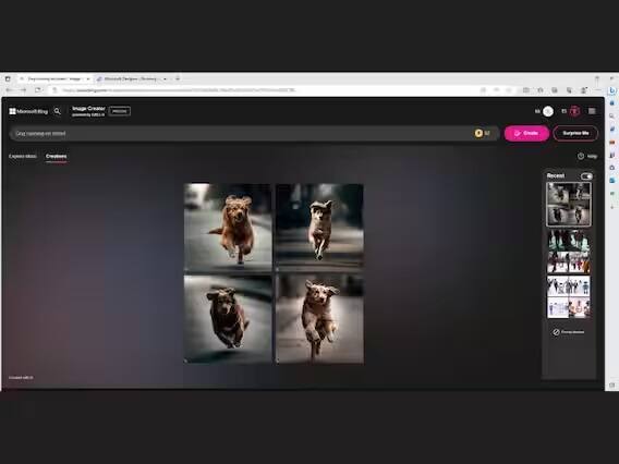 હવે સર્ચ બૉક્સમાં તમારી ક્વેરી દાખલ કરો જેમ કે - કૂતરો રસ્તા પર દોડે છે, કૂતરો શેરીમાં દોડે છે. પરિણામ થોડીક સેકન્ડોમાં તમારી સામે દેખાશે. આ રીતે તમે AIની મદદથી કોઈપણ ચિત્ર જનરેટ કરી શકો છો.