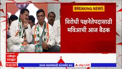 NCP: राष्ट्रवादीमध्ये दोन गट पडल्याचा विधीमंडळात अधिकृत निर्णय नाही