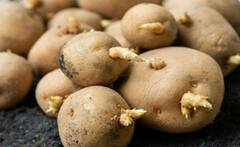 Monsoon Kitchen Tips: पावसाळ्यात कांदे-बटाट्यांना मोड येतात किंवा ते लवकर सडतात? हे टाळण्यासाठी लक्षात ठेवा 'या' गोष्टी