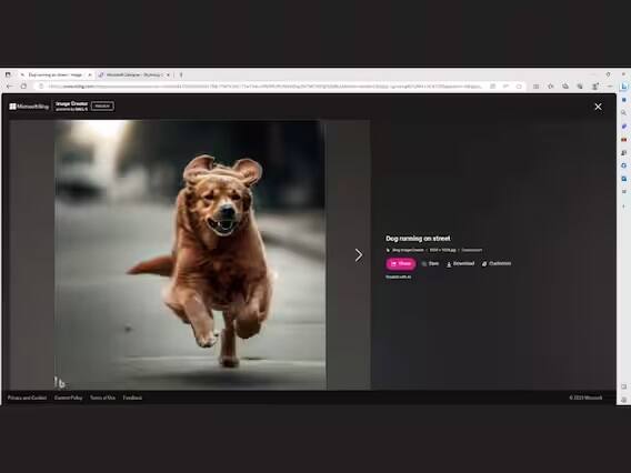 સારી વાત એ છે કે તમે માઈક્રોસૉફ્ટ ડિઝાઈનર ટૂલની મદદથી ઈમેજને તમારા પોતાના અનુસાર કસ્ટમાઈઝ પણ કરી શકો છો. ઉપરાંત છબી સરળતાથી ડાઉનલૉડ અને શેર કરી શકાય છે. ધ્યાન રહે, તમે કેટલીક કન્ટેન્ટને તમે ઇમેજ તરીકે ડેવલપ નહીં કરી શકો. ખાસ કરીને જે એક્સપ્લિસિટ હોય કે નિયમ વિરૂદ્ધ હોય.