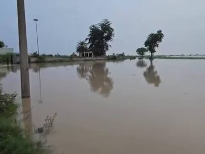 Delhi Flood Yamuna River News Yamuna showed fierce form in Palwal too more than dozen villages were submerged Ann Palwal Flood: दिल्ली के बाद पलवल में भी यमुना ने दिखाया रौद्र रूप, दर्जन भर से ज्यादा गांव हुए जल-मग्न