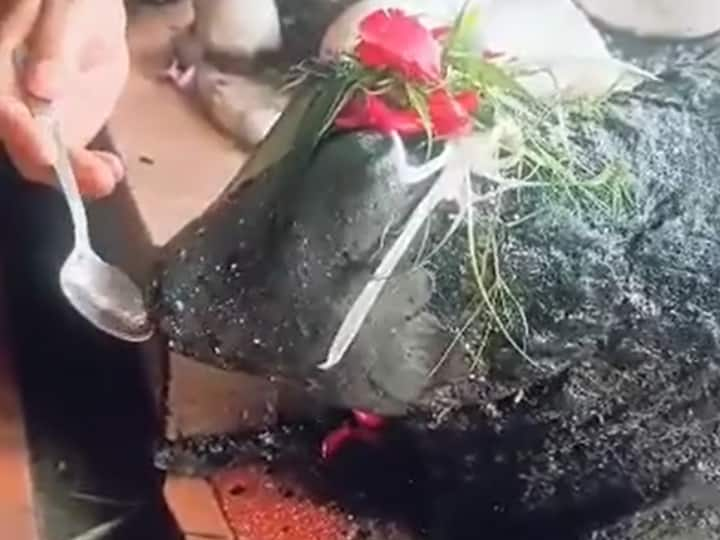 Sawan Shivratri 2023 The idol of Nandi Maharaj drinking water in Chamba District Himachal ANN Sawan Shivratri 2023: सावन महीने में नंदी महाराज की मूर्ति पी रही पानी, चमत्कार या विज्ञान? छिड़ गई बहस