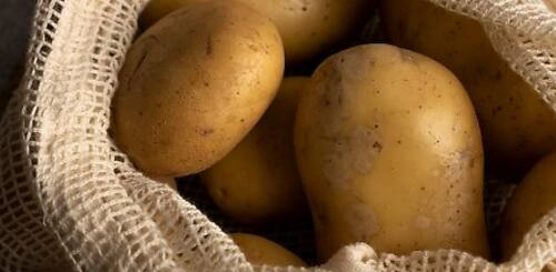 सुती कापडामध्ये किंवा सुती कापडाच्या पिशवीत कांदे-बटाटे ठेवा, त्यामुळे हवा खेळती राहते आणि कांदे-बटाटे खराब होत नाहीत.