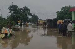 Rain : चंद्रपूर जिल्ह्यात मुसळधार पाऊस, सगळीकडं पाणीचं पाणी