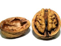 चिचिलाती गर्मी से अंदर ही भुन गया शख्स का दिमाग, शरीर से स्किन भी निकली! जानिए मस्तिष्क पर क्या होता है तापमान का असर