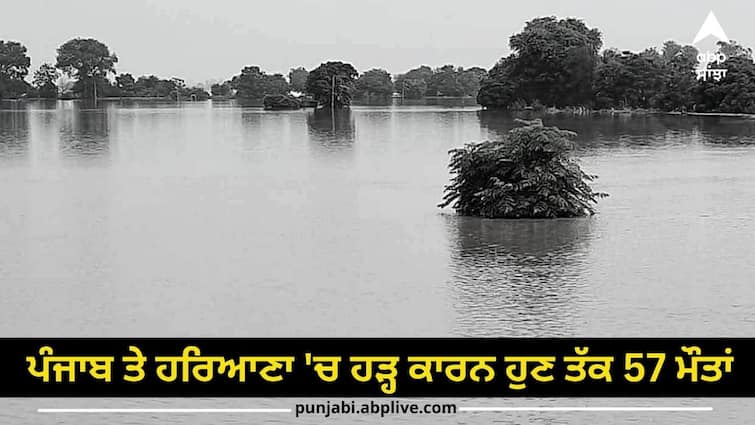 57 deaths due to flood in Punjab and Haryana so far 518 villages affected heavy rain alert Flood Update: ਪੰਜਾਬ ਤੇ ਹਰਿਆਣਾ 'ਚ ਹੜ੍ਹ ਕਾਰਨ ਹੁਣ ਤੱਕ 57 ਮੌਤਾਂ, 518 ਪਿੰਡ ਪ੍ਰਭਾਵਿਤ, ਭਾਰੀ ਮੀਂਹ ਦਾ ਅਲਰਟ