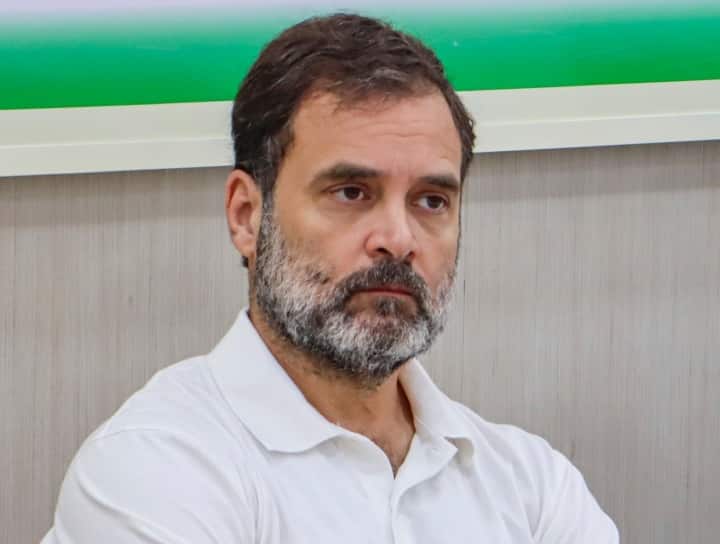 ‘… then career of 8 years will end’, what else did Rahul Gandhi say in the petition?