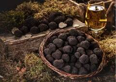 ਲੱਖਾਂ 'ਚ ਮਿਲਦੀਆਂ ਨੇ ਇਹ ਖਾਣੇ ਦੀਆਂ ਚੀਜ਼ਾਂ...ਕੀ ਤੁਸੀਂ ਜਾਣਦੇ ਹੋ ਇਨ੍ਹਾਂ ਦਾ ਨਾਂ