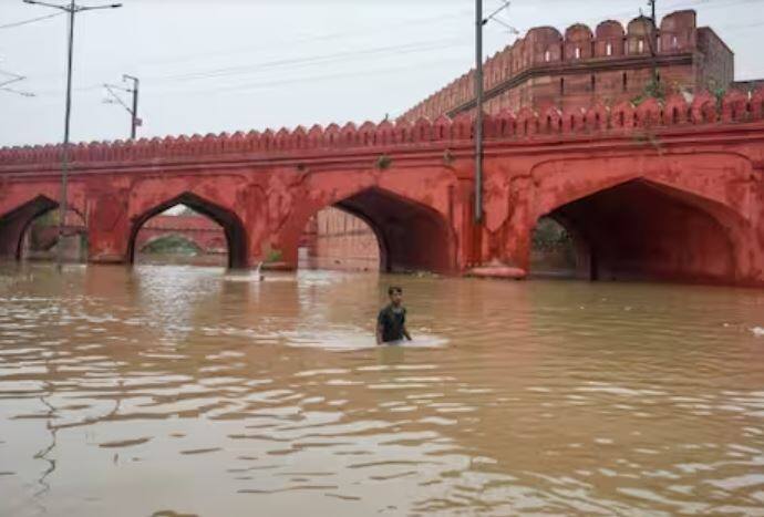 सध्या उत्तर भारतात (North India) मुसळधार पाऊस सुरु आहे. या पावसामुळं उत्तरेकडील राज्यांमध्ये पूरस्थिती कायम आहे.