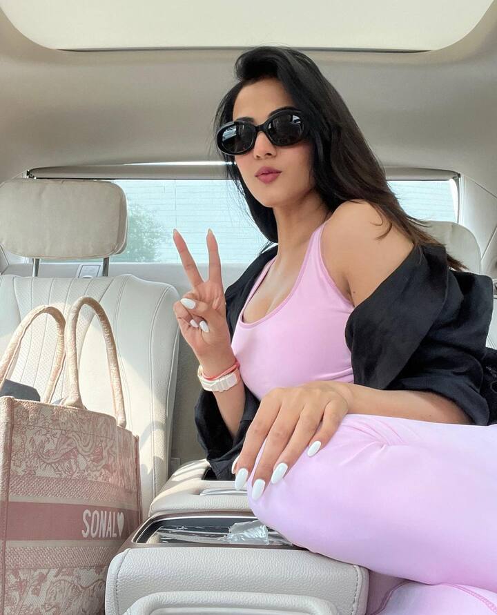 సోనాల్ చౌహాన్ (Image credit: Sonal Chauhan/Instagram)