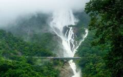 Dudhsagar Waterfalls :  दूधसागर धबधब्याला जाणार आहात?, मग थांबा आणि आधी हे वाचा