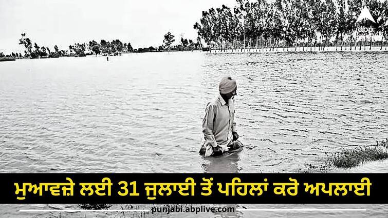 Compensation will be given under this government scheme for wasted crops apply before July 31 Crops Damage: ਬਰਬਾਦ ਹੋਈ ਫ਼ਸਲ ਦਾ ਇਸ ਸਰਕਾਰੀ ਸਕੀਮ ਤਹਿਤ ਦਿੱਤਾ ਜਾਵੇਗਾ ਮੁਆਵਜ਼ਾ, 31 ਜੁਲਾਈ ਤੋਂ ਪਹਿਲਾਂ ਕਰੋ ਅਪਲਾਈ