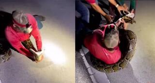 Viral Video: ਸੱਪ ਨਾਲ ਪੰਗਾ ਲੈਣ ਲੱਗਾ ਸ਼ਖਸ, 1 ਸੈਕਿੰਡ 'ਚ ਸਿੱਖਿਆ ਸਬਕ, ਬਚਾਉਣ ਲਈ ਭੱਜੇ ਲੋਕ