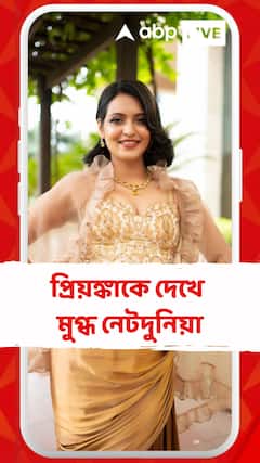 পোশাক জুড়ে সোনালী আভা, প্রিয়ঙ্কাকে দেখে মুগ্ধ নেটদুনিয়া