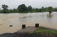 Rain : चंद्रपूर जिल्ह्यात मुसळधार पाऊस, सगळीकडं पाणीचं पाणी