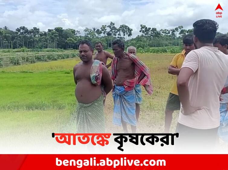 Panchayat Election Result 2023:  TMC BJP Worker protested after Bangaon Violence Panchayat Poll 2023:  'ফসলের ক্ষেতেও হামলা',  একজোট হয়ে রুখে দাঁড়ালেন TMC ও BJP-র ২ নবাগতা সদস্যা