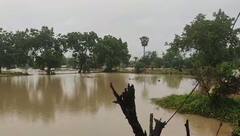 Rain : चंद्रपूर जिल्ह्यात मुसळधार पाऊस, सगळीकडं पाणीचं पाणी