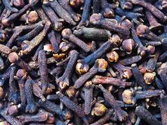 इस मसाले की खेती करने वाले किसान बन गए राजा, जानिए इसके उत्पादन की उन्नत तकनीक