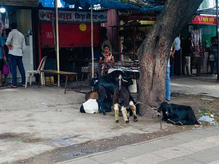 गटारी अमावस्या झाल्यानंतर सुरू होणाऱ्या श्रावण महिन्यात अनेक जण मांसाहार वर्ज्य करतात.