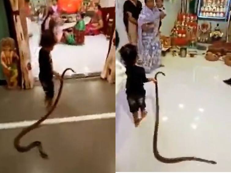 Viral Video Toddler Plays With Snake At Home Video Goes Viral Watch Viral Video: ఈ బుడ్డోడు మామూలోడు కాదు, పాము తోకపట్టి ఎంత పనిచేశాడో తెలుసా?