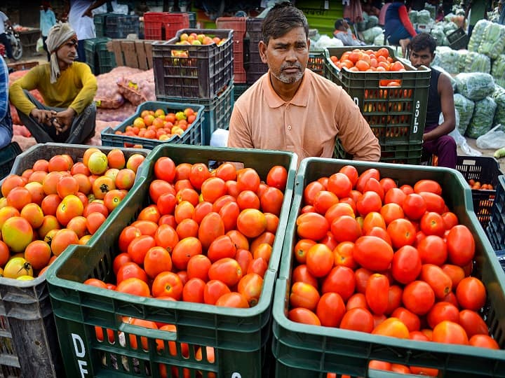 Tomatoes Wholesale Rate Down to 29 Percent Today know when tomatoes rate will reduce in Delhi NCR Tomato Prices: टमाटर की थोक कीमत 29 फीसदी तक कम, आम लोगों को कब मिलेगी राहत?
