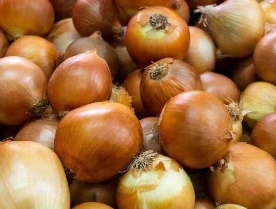 ਪਿਆਜ਼ ਕੱਟਣ ਵੇਲੇ ਹੰਝੂਆਂ ਤੋਂ ਬਚਣ ਲਈ, ਉਨ੍ਹਾਂ ਨੂੰ ਕੱਟਣ ਤੋਂ ਪਹਿਲਾਂ 20 ਤੋਂ 25 ਮਿੰਟ ਲਈ ਫਰਿੱਜ ਵਿੱਚ ਰੱਖੋ। ਅਜਿਹਾ ਕਰਨ ਨਾਲ ਪਿਆਜ਼ 'ਚ ਮੌਜੂਦ ਐਨਜ਼ਾਈਮ ਦਾ ਪ੍ਰਭਾਵ ਖਤਮ ਹੋ ਜਾਂਦਾ ਹੈ ਅਤੇ ਇਸ ਨੂੰ ਕੱਟਣ ਵੇਲੇ ਅੱਖਾਂ 'ਚੋਂ ਪਾਣੀ ਨਹੀਂ ਨਿਕਲਦਾ।