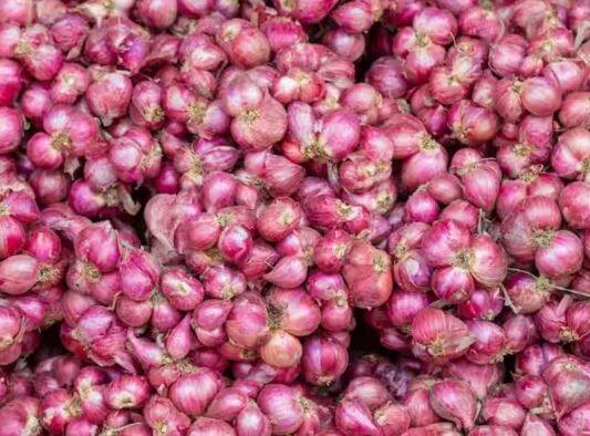 ਕੁਝ ਲੋਕ ਤਾਂ ਇਹ ਵੀ ਮੰਨਦੇ ਹਨ ਕਿ ਪਿਆਜ਼ ਕੱਟਦੇ ਸਮੇਂ ਜੇਕਰ ਕੋਈ ਮੋਮਬੱਤੀ ਨੇੜੇ ਰੱਖੀ ਜਾਵੇ ਤਾਂ ਉਸ ਵਿੱਚੋਂ ਨਿਕਲਣ ਵਾਲੀ ਗੈਸ ਮੋਮਬੱਤੀ ਵਿੱਚ ਚਲੀ ਜਾਂਦੀ ਹੈ ਅਤੇ ਤੁਹਾਡੀਆਂ ਅੱਖਾਂ ਵਿੱਚ ਜਲਣ ਨਹੀਂ ਹੁੰਦੀ ਹੈ।