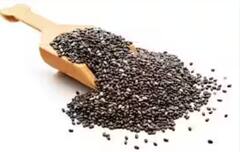 ਚਿਹਰੇ ਦੀ ਚਮਕ ਤੋਂ ਲੈ ਕੇ ਭਾਰ ਘਟਾਉਣਾ ਤੱਕ, ਖਾਲੀ ਪੇਟ Chia Seeds ਦਾ ਪਾਣੀ ਪੀਣ ਦੇ ਮਿਲਣਗੇ ਹੈਰਾਨ ਕਰ ਦੇ ਵਾਲੇ ਫ਼ਾਇਦੇ