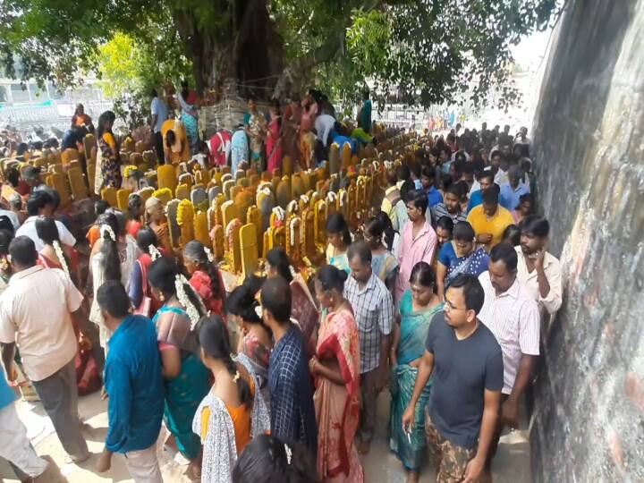 Aadi Amavasai 2023 More than a hundred devotees offer prayers under the  tree in the Kachabeswarar temple on the occasion of the new moon of Somavara TNN Aadi Amavasai 2023: ஆடி சோமவார அமாவாசை...கோயிலில் குவிந்த பக்தர் கூட்டம்..களைகட்டிய காஞ்சிபுரம்..!