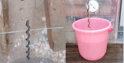magical stick floats opposite of water flow viral video Viral Video: ਪਾਣੀ 'ਚ ਦੌੜਦੀ ਹੈ ਉਲਟਾ, ਦੇਖ ਕੇ ਸਮਝ ਜਾਓਗੇ ਸੱਪ! ਕੀ ਹੈ ਵਾਇਰਲ ਹੋ ਰਹੀ 'ਜਾਦੂਈ ਲੱਕੜ' ਦਾ ਸੱਚ!