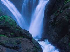 Viral Video: అడ్డదారిలో ట్రెకింగ్ కోసం వెళ్లిన టూరిస్ట్‌లకు పనిష్‌మెంట్, గుంజీలు తీయించిన రైల్వే పోలీసులు