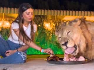 Viral Video: ਇੱਕੋ ਥਾਲੀ 'ਚ ਇਕੱਠੇ ਖਾਣਾ ਖਾਂਦੇ ਦਿਖਾਈ ਦਿੱਤੇ ਸ਼ੇਰ ਤੇ ਔਰਤ, ਵੀਡੀਓ ਹੋਇਆ ਵਾਇਰਲ