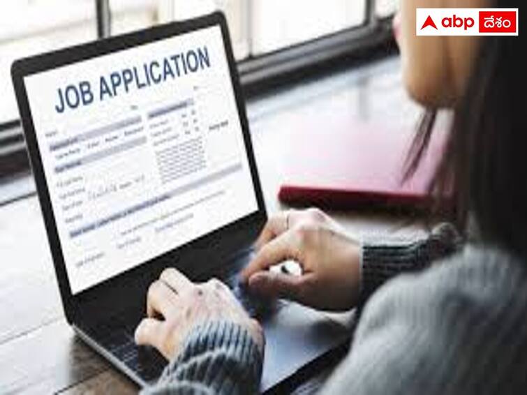 Startup company job advertisement.. three thousand applications in 48 hours Startup Company: స్టార్టప్‌ కంపెనీ ఉద్యోగ ప్రకటన, 48 గంటల్లో దరఖాస్తుల వెల్లువ! సీఈవో ట్వీట్ వైరల్!