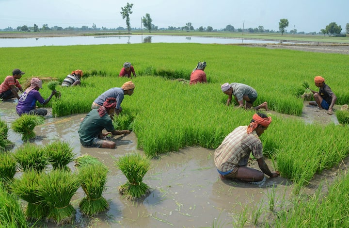 ভোটার কার্ড ও আধার কার্ড থাকা ও সুবিধা পেতে জমা দেওয়া আবশ্যিক।