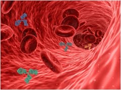 Cholesterol: కొలెస్ట్రాల్ ఎన్ని రకాలు? ఏ స్థాయి వరకు ఉంటే ఆరోగ్యంగా ఉంటారు?