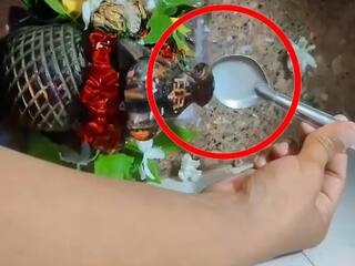 Bhandara Viral Video: भंडाऱ्यातील मंदिरात महादेवाचा नंदी पितोय दूध आणि पाणी; व्हायरल व्हिडिओमुळे मंदिरात नागरिकांची तुफान गर्दी