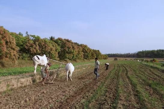 farmers-will-get-full-compensation-from-pradhan-mantri-fasal-bima-yojana ਸੁਣੋ ਤੁਹਾਡੀ ਫਸਲ ਵੀ ਮੀਂਹ ਕਰਕੇ ਹੋ ਗਈ ਖ਼ਰਾਬ, ਤਾਂ ਇਦਾਂ ਕਰੋ ਅਪਲਾਈ, ਸਰਕਾਰ ਦੇਵੇਗੀ ਮੁਆਵਜ਼ਾ