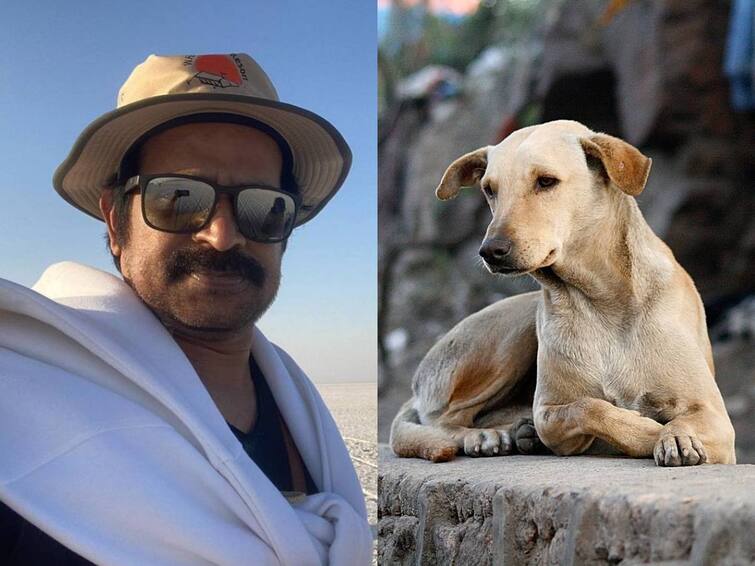 Actor Brahmaji Reaction On hyderabad street dogs issue Brahmaji: వీధి కుక్కలకు నటుడు బ్రహ్మాజీ పరిష్కారం - నేనైతే ఇలాగే చేస్తాను!
