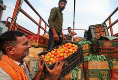 India News:পুনের কৃষককে কোটিপতি বানাল টমেটো