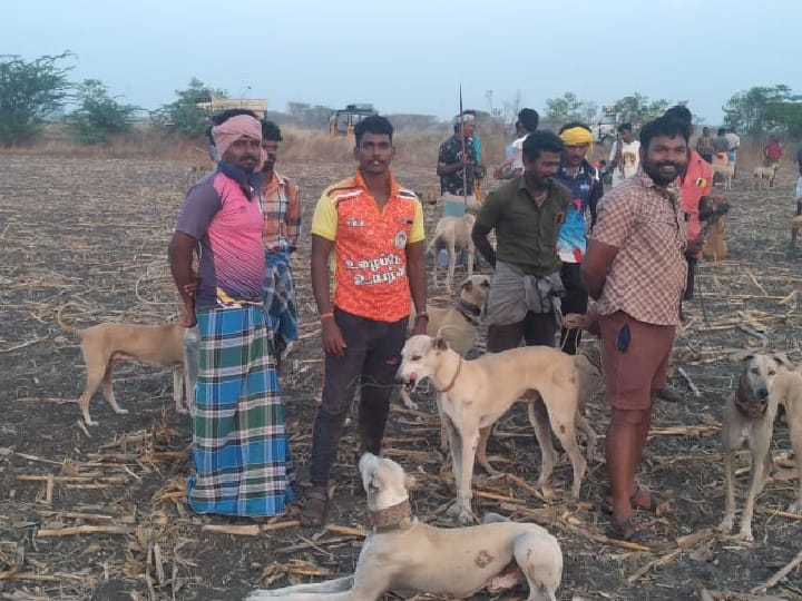 பன்றிகள், மான்களால் பாழாகும் பயிர்கள் - நாய்களை களமிறக்கும் தூத்துக்குடி விவசாயிகள்