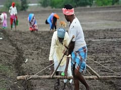 नांदेड जिल्ह्यात 56 टक्के पाऊस, 60.20 टक्के पेरण्या पूर्ण; मोठ्या पावसाची प्रतीक्षा