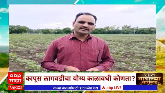 Saat Barachya Batmya : 7/12: कापूस लागवडीचा योग्य कालावधी कोणता? खतव्यवस्थापन कसं करावं? :ABP Majha