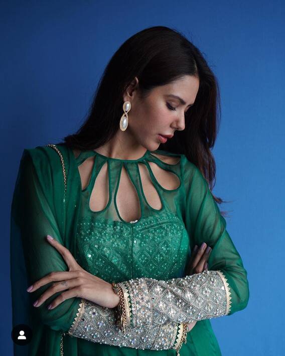 ਸੋਨਮ ਬਾਜਵਾ ਦੀਆਂ ਕਾਤਲ ਅਦਾਵਾਂ ਦੇ ਕਾਇਲ ਹੋਏ ਫੈਨਜ਼