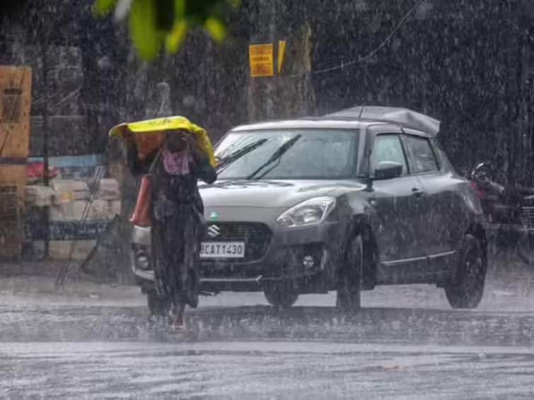 Andhra Pradesh Telangana IMD Weather Forecast Heavy Rainfall This Week Check Details IMD Predicts Heavy Rainfall In Parts Of Andhra, Telangana Over Next Five Days. Check Full Forecast