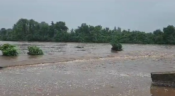 Gujarat Rain: છોટાઉદેપુરમાં જામ્યો વરસાદી માહોલ, જેતપુરપાવી, બોડેલી, ક્વાંટમાં ધોધમાર વરસાદ