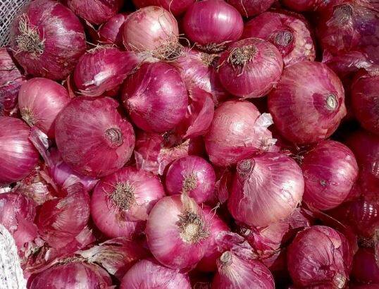 ਪਿਆਜ਼ ਨੂੰ ਹਮੇਸ਼ਾ ਤਿੱਖੇ ਚਾਕੂ ਨਾਲ ਕੱਟੋ। ਜਦੋਂ ਤੁਸੀਂ ਤਿੱਖੇ ਚਾਕੂ ਨਾਲ ਪਿਆਜ਼ ਨੂੰ ਕੱਟਦੇ ਹੋ ਤਾਂ ਪਿਆਜ਼ ਦੀ ਪਰਤ ਕੱਟ ਜਾਂਦੀ ਹੈ। ਇਨ੍ਹਾਂ ਵਿੱਚੋਂ ਘੱਟ ਐਨਜ਼ਾਈਮ ਨਿਕਲਦੇ ਹਨ। ਪਿਆਜ਼ ਦੀਆਂ ਕੋਸ਼ਿਕਾਵਾਂ ਖਰਾਬ ਹੋਣ 'ਤੇ ਇਸ ਤੋਂ ਗੈਸ ਘੱਟ ਨਿਕਲਦੀ ਹੈ ਅਤੇ ਅੱਖਾਂ ਦੀ ਸਮੱਸਿਆ ਵੀ ਘੱਟ ਹੋ ਜਾਂਦੀ ਹੈ।