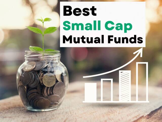 Small Cap Funds: సంపాదనలో స్టాక్ మార్కెట్‌ను ఓడించే బెస్ట్‌ స్మాల్ క్యాప్ ఫండ్‌ను ఎలా ఎంచుకోవాలి?