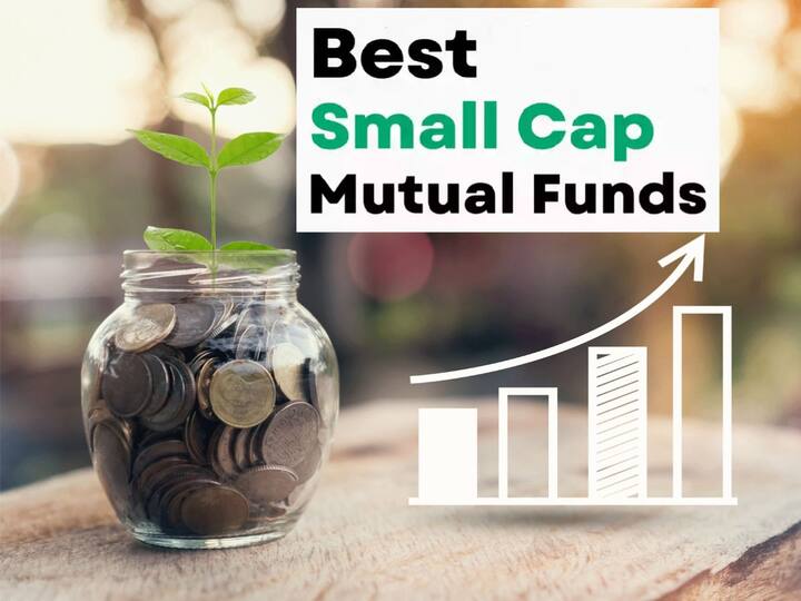 Mutual Funds how to find the best small cap funds for investing in indian market Small Cap Funds: సంపాదనలో స్టాక్ మార్కెట్‌ను ఓడించే బెస్ట్‌ స్మాల్ క్యాప్ ఫండ్‌ను ఎలా ఎంచుకోవాలి?